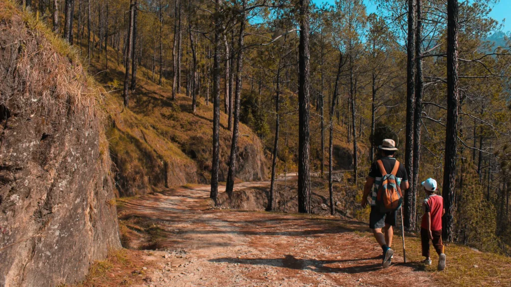 coparenting successfully - dad an boy hiking in the woods